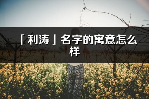 「利涛」名字的寓意怎么样_利涛的出处