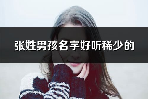 张姓男孩名字好听稀少的