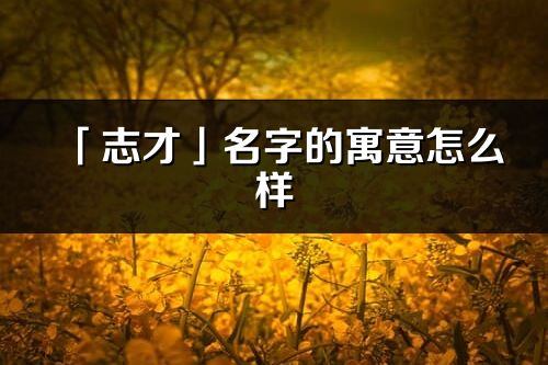 「志才」名字的寓意怎么样_志才的出处