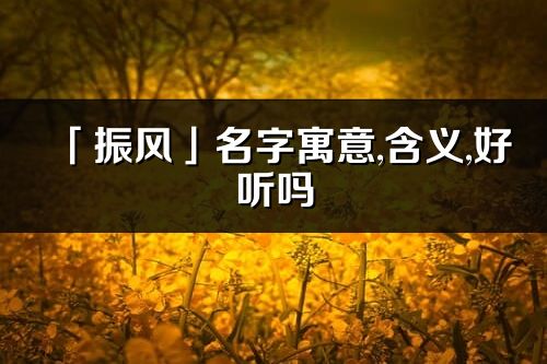 「振风」名字寓意,含义,好听吗_振风名字分析打分