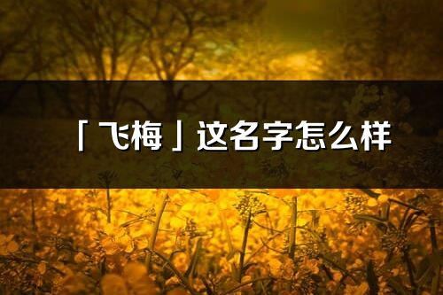 「飞梅」这名字怎么样_飞梅的名字解释