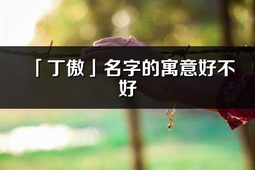 「丁傲」名字的寓意好不好_丁傲含义分析