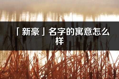 「新豪」名字的寓意怎么样_新豪的出处