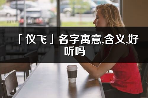 「仪飞」名字寓意,含义,好听吗_仪飞名字分析打分