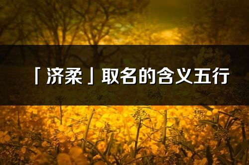 「济柔」取名的含义五行_济柔名字寓意解释