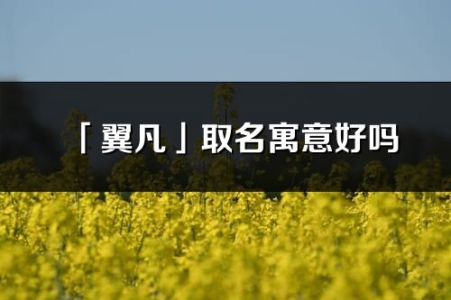 「翼凡」取名寓意好吗_翼凡名字含义及五行