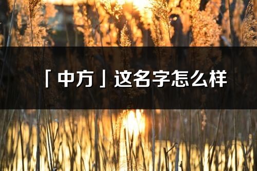 「中方」这名字怎么样_中方的名字解释