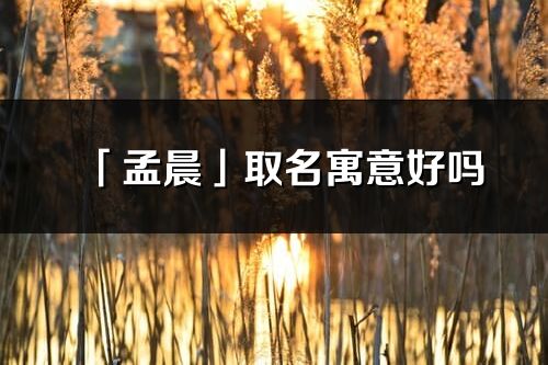 「孟晨」取名寓意好吗_孟晨名字含义及五行