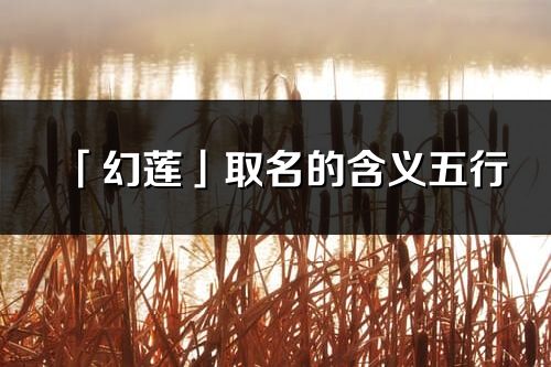 「幻莲」取名的含义五行_幻莲名字寓意解释