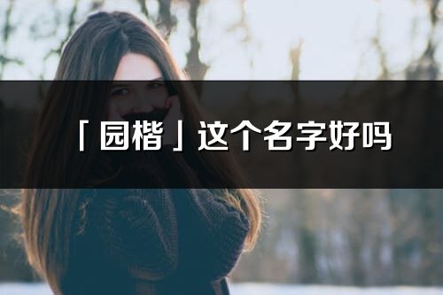 「园楷」这个名字好吗_园楷名字寓意,含义