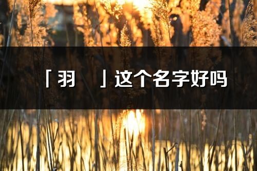 「羽玥」这个名字好吗_羽玥名字寓意,含义