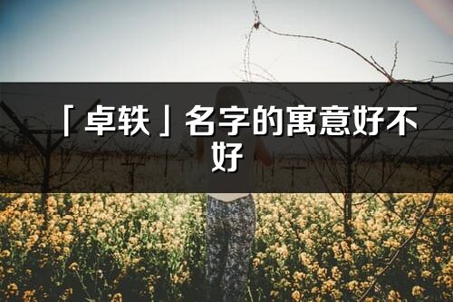 「卓轶」名字的寓意好不好_卓轶含义分析