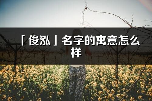 「俊泓」名字的寓意怎么样_俊泓的出处