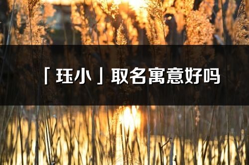 「珏小」取名寓意好吗_珏小名字含义及五行