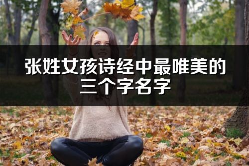 张姓女孩诗经中最唯美的三个字名字