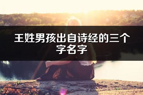 王姓男孩出自诗经的三个字名字