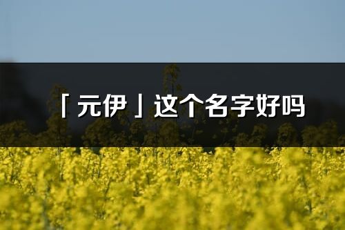 「元伊」这个名字好吗_元伊名字寓意,含义