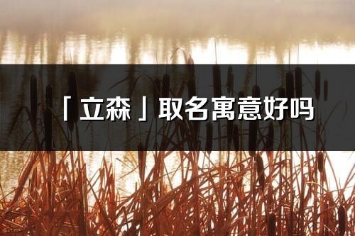 「立森」取名寓意好吗_立森名字含义及五行