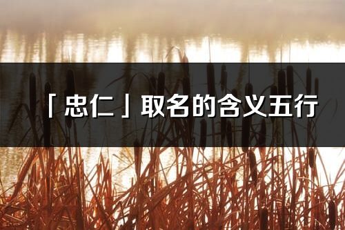 「忠仁」取名的含义五行_忠仁名字寓意解释