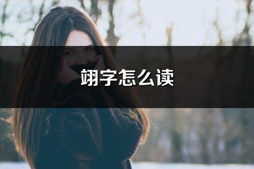 翊字怎么读_翊的读音