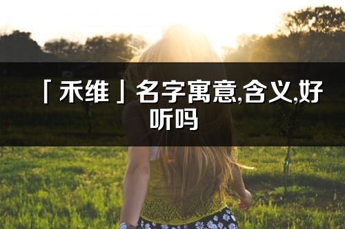 「禾维」名字寓意,含义,好听吗_禾维名字分析打分