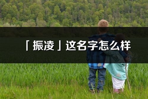 「振凌」这名字怎么样_振凌的名字解释