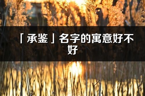 「承鉴」名字的寓意好不好_承鉴含义分析