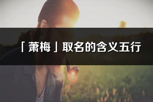 「萧梅」取名的含义五行_萧梅名字寓意解释