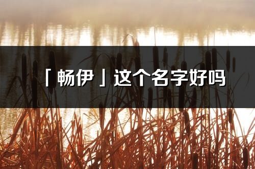 「畅伊」这个名字好吗_畅伊名字寓意,含义