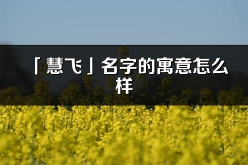 「慧飞」名字的寓意怎么样_慧飞的出处