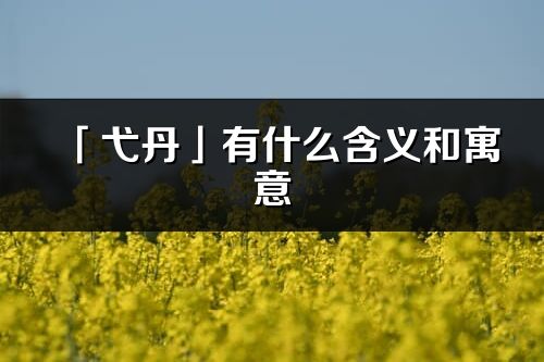 「弋丹」有什么含义和寓意_弋丹名字的出处与意思