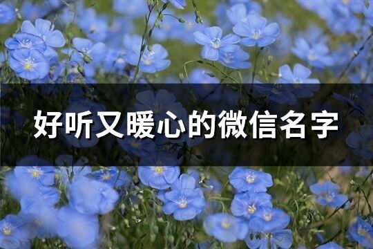 好听又暖心的微信名字(419个)