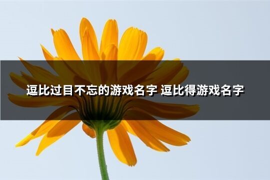 逗比过目不忘的游戏名字 逗比得游戏名字(精选287个)