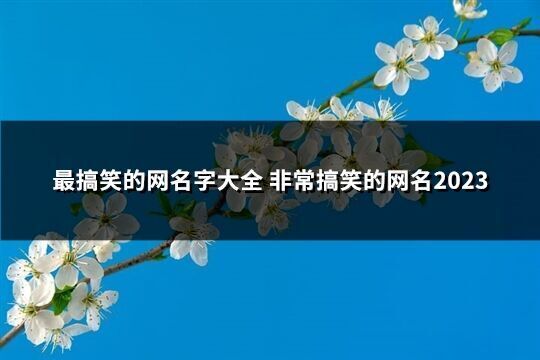 最搞笑的网名字大全 非常搞笑的网名2023(共253个)