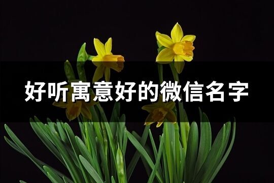 好听寓意好的微信名字(精选208个)