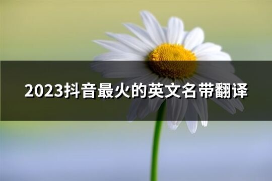 2023抖音最火的英文名带翻译(精选106个)