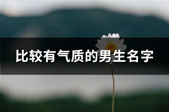 比较有气质的男生名字(85个)