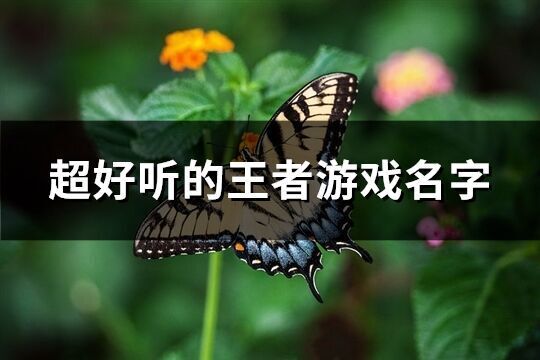 超好听的王者游戏名字(252个)