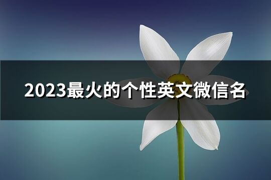 2023最火的个性英文微信名(精选141个)