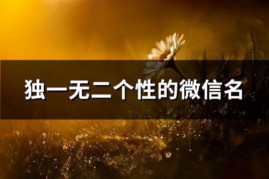 独一无二个性的微信名(精选1110个)