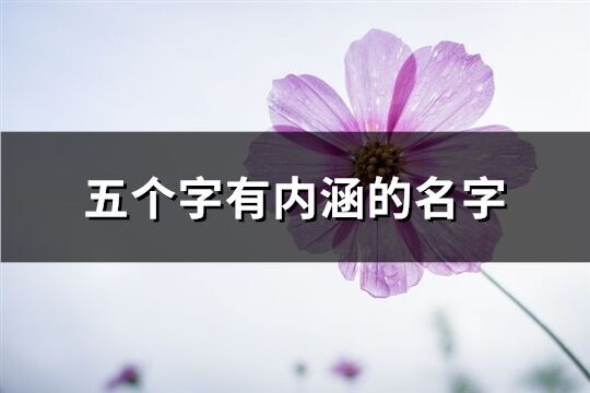 五个字有内涵的名字(精选734个)