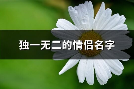 独一无二的情侣名字(精选347个)