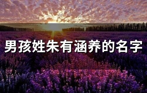 男孩姓朱有涵养的名字(精选145个)