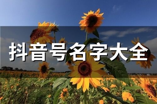 抖音号名字大全(精选292个)