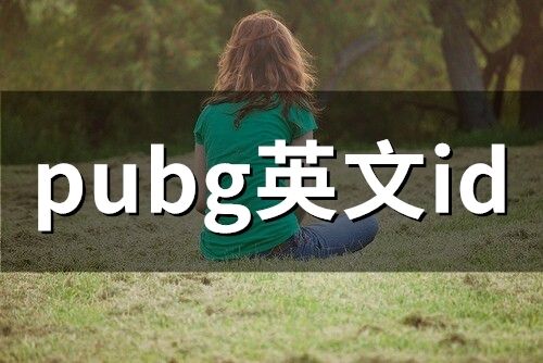 pubg英文id(精选231个)