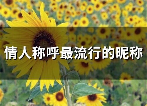 情人称呼最流行的昵称(69个)