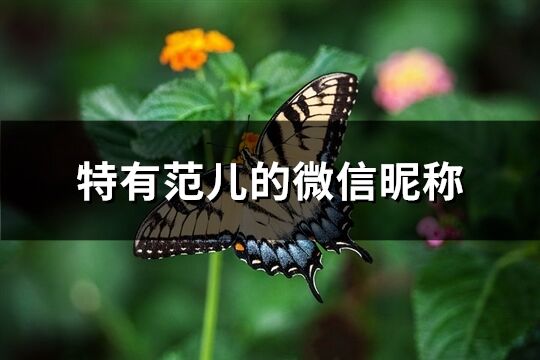 特有范儿的微信昵称(共150个)