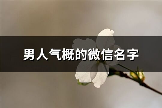 男人气概的微信名字(精选827个)