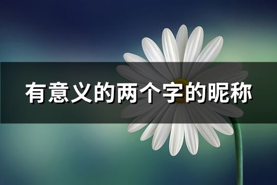 有意义的两个字的昵称(520个)