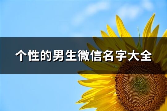 个性的男生微信名字大全(531个)